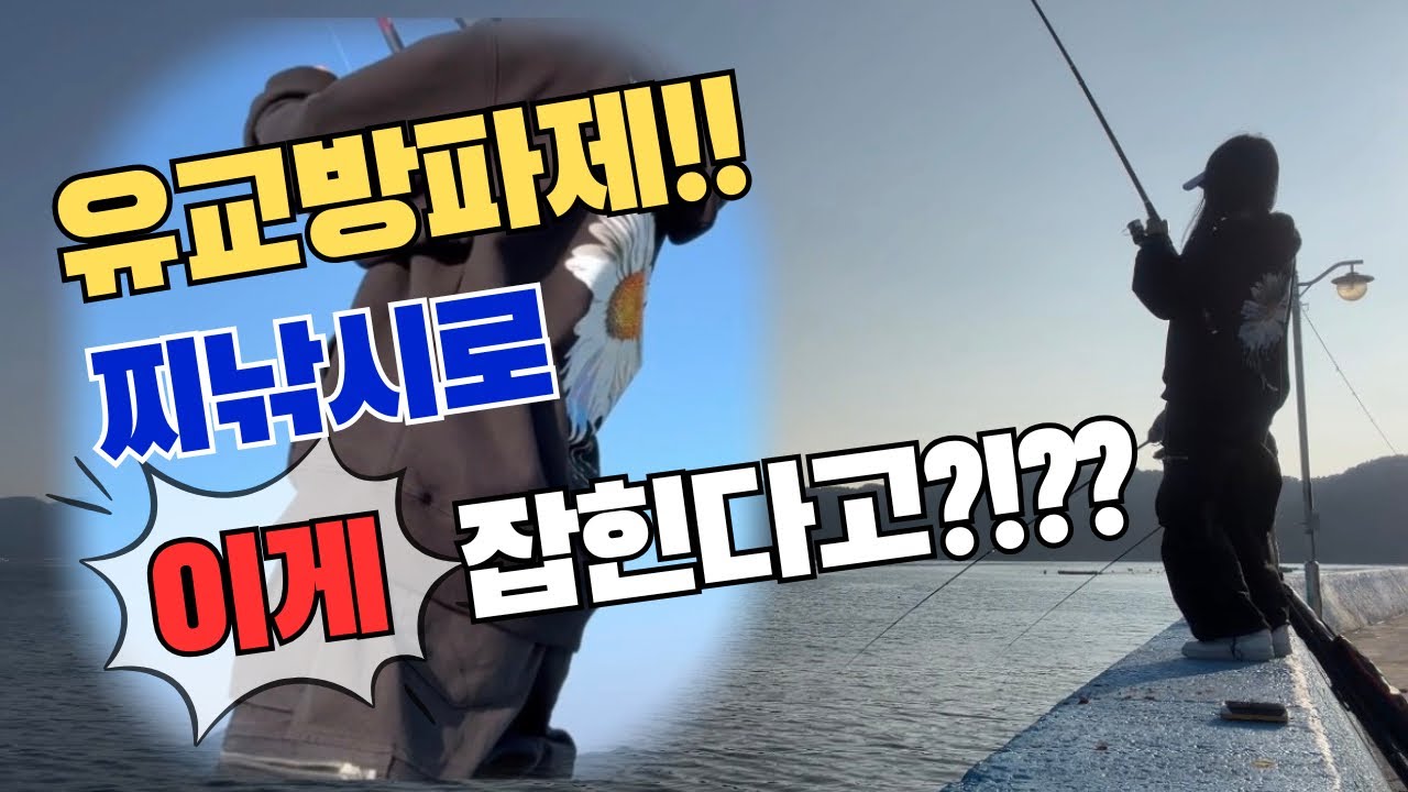 이거 처음해보는데 엄청 재밌네요?!?!?#낚시 #낚시영상 #원투낚시 #루어낚시 #찌낚시 #거제도낚시 #거제도 