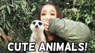 Ariana Grande With Animals