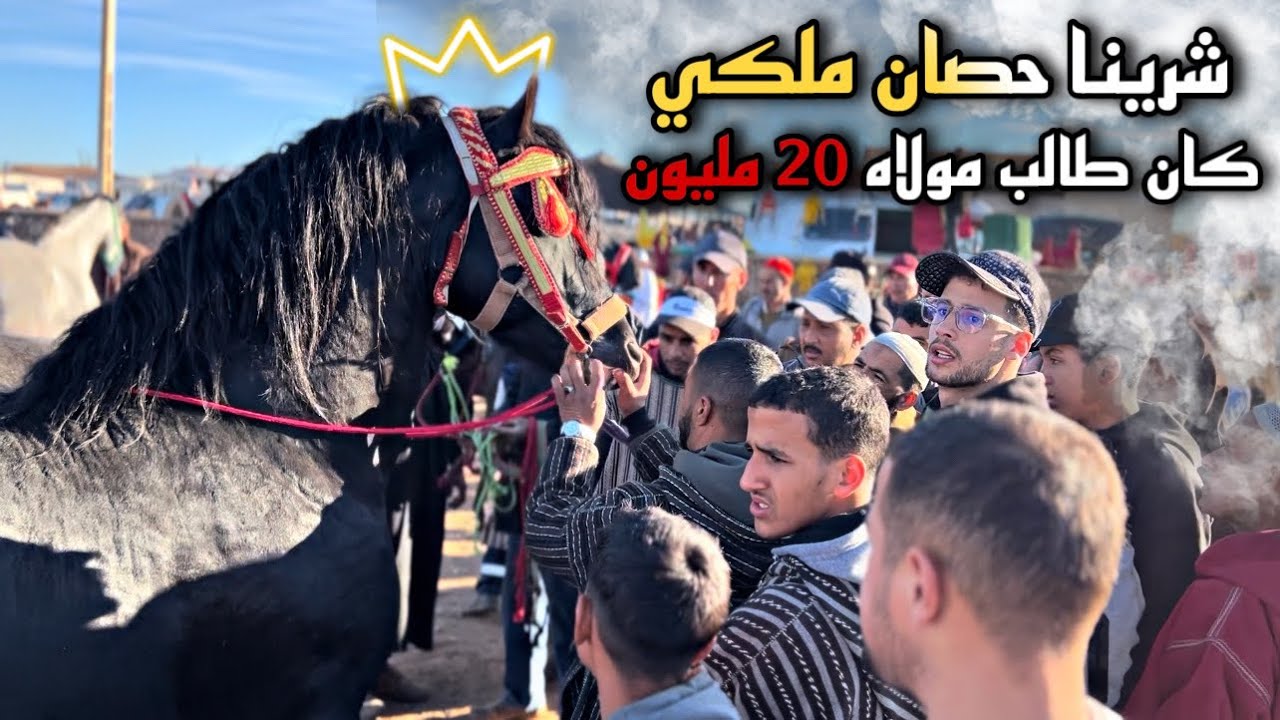 بدريس دار صفقة العمر 🚨 وشرا أحسن حصان ذخل لسوق لقفاف مولاه كان طالب 20 مليون …😱