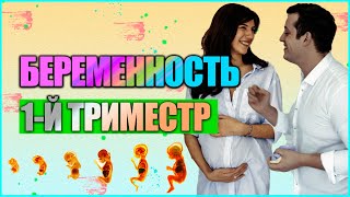 БЕРЕМЕННОСТЬ ДВОЙНЕЙ 1 ТРИМЕСТР // Беременность первый триместр