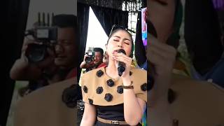 Download Lagu SEUJUNG KUKU #shorts #fyp #viral MP3