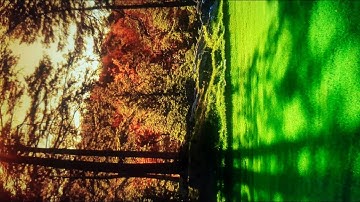 سورة آل عمران تلاوة رائعة مدة ساعة بدون حقوق الطبع والنشر