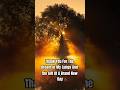New Day Prayer! #god #jesus #dailybreadnetwork #prayer #daily