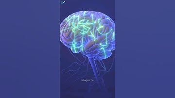 The Human Brain: The Most Complex Structure in the Universe #learnew #brain #neuron #body #shorts