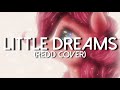 Vylet pony  little dreams redd cover