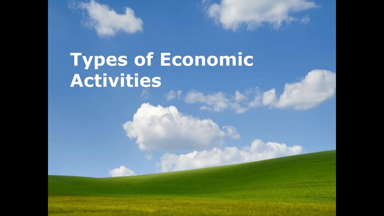 types-of-economic-activities-class-11-english-version-by