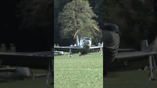 Amazing Mustang Flight Caught On Camera