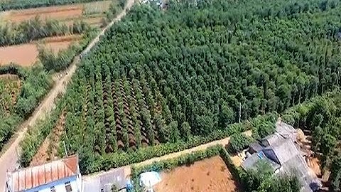 Kết nối cung cầu tiêu thụ sản phẩm nông – lâm – thủy sản