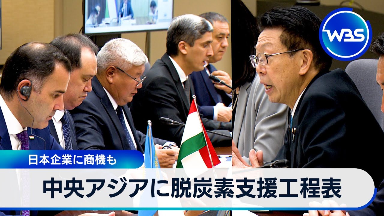 Roadmap for decarbonization support in Central Asia: Business