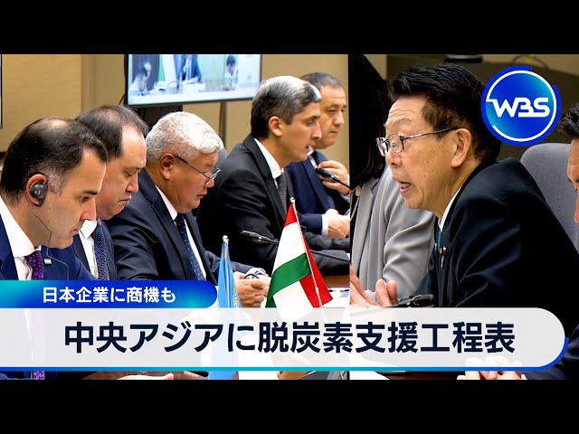 Roadmap for decarbonization support in Central Asia: Business