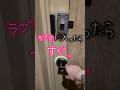 ホテルの部屋入ったらすぐ○○ #shorts