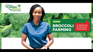 Kilimo Na Biashara  | Focus on Broccoli Farming