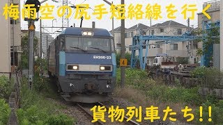 2019/07/02 [貨物列車] 梅雨空の尻手短絡線を行く貨物列車たち!!