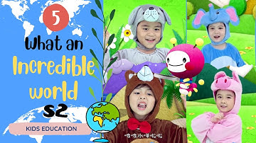 【FOR KIDS】Rabbit, Mole, Snail, Sparrow｜What an incredible world S2｜EP05｜世界真奇妙 | science