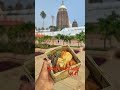 Jay Jagannath#jagannathpuri #jagannathrathyatra #jagannath #videoviral #jagannathtemple