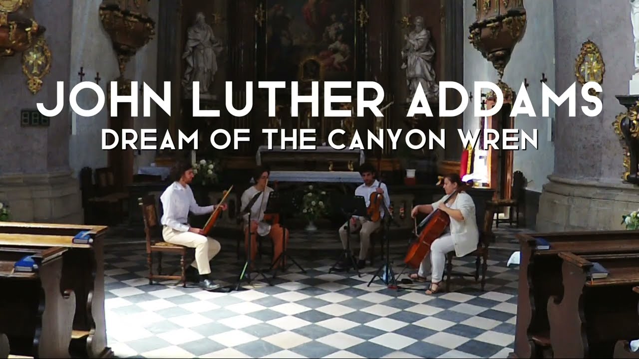 Dream of the Canyon Wren — John Luther Addams