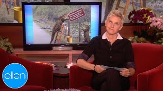 Whats Wrong With These Signs Crocodile Edition season 7