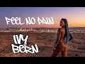 Ivy Bern Feel No Pain Official Music Video mp3