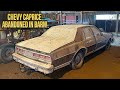 First wash in 18 years caprice classic barn find  car detailing restoration