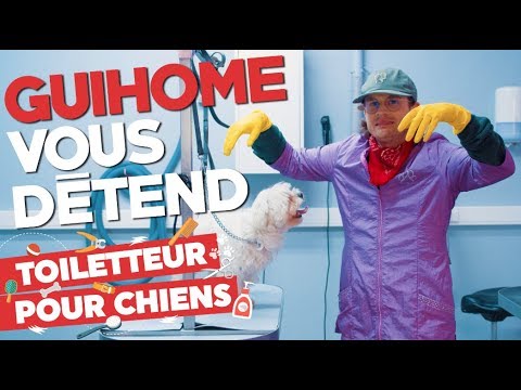 Vidéo: Toilettage Pour Animaux De Compagnie : Comment Gérer Les Tapis Chez Les Chiens Et Les Chats