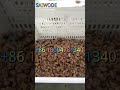 Factory cashew sheller machine