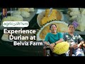 Why This Durian Farm Became a Must-Visit Spot in Davao (AgriCoolTours S1EP3)