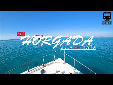 วีดีโอ: ดำน้ำในฮูร์กาดา