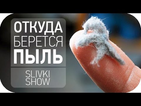 Откуда берется пыль? [SLIVKI SHOW]