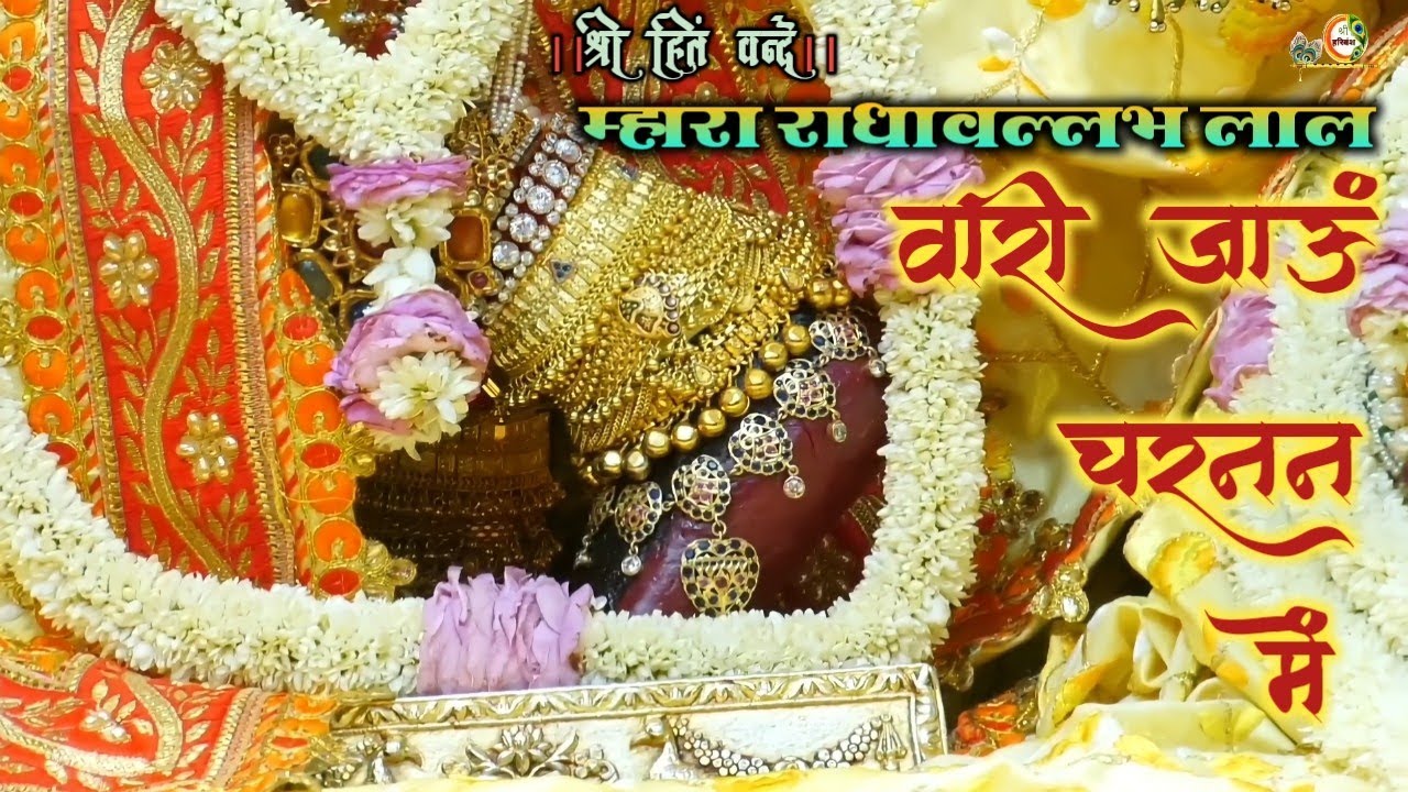 म्हारा राधावल्लभ लाल वारी जाऊं चरनन में // Shri Radha Vallabh mandir Vrindavan