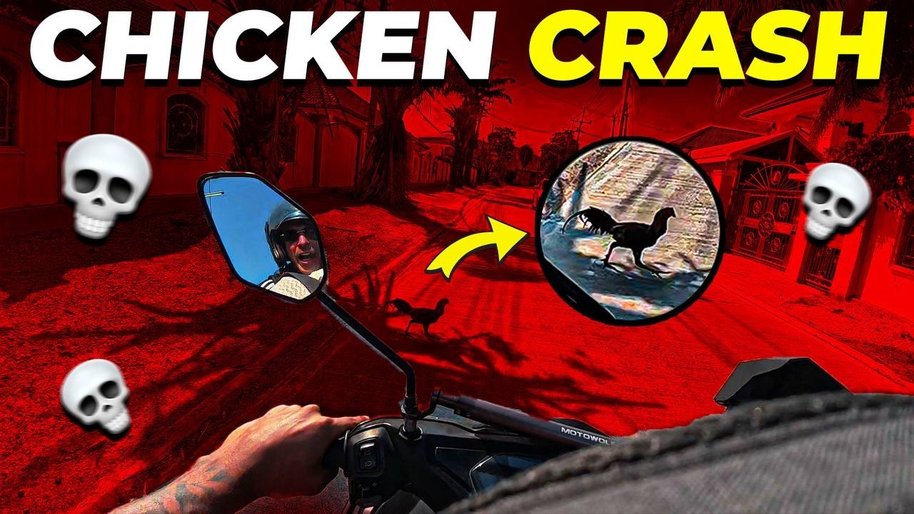 POV: Thailand's Most DANGEROUS Driver… It's a Chicken 🐔😂🏍️