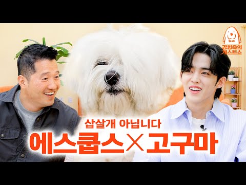 강형욱도 훈련 실패한 세븐틴 에스쿱스네 강아지 고구마 a.k.a꾸마 [강형욱의개스트쇼] EP.12