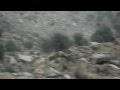 Fire fight in Afghanistan. Kunar Province.  Siren's Song:  The Allure of war
