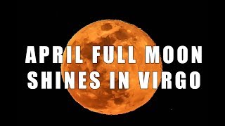 April full moon shines in Virgo