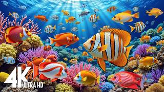 Amazing 4k Ocean Adventure 🐳 Dive Deep And Marvel At Sea Animal In The Best 4k Ultra Hd Aquarium #31