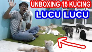 UNBOXING 15 KUCING LUCU LUCU GUDANG TUTORIAL