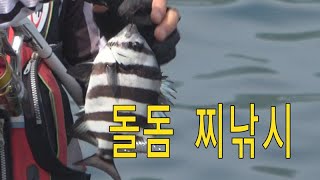 돌돔 찌낚시 sea fishing