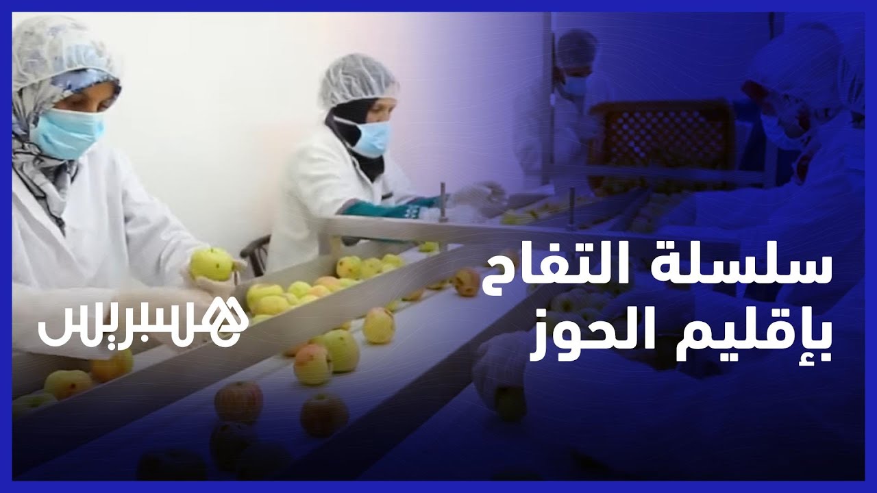 تنمية وتثمين سلسلة التفاح بإقليم الحوز، مشروع رائد مع تعاونية أطلس تلات يعقوب
