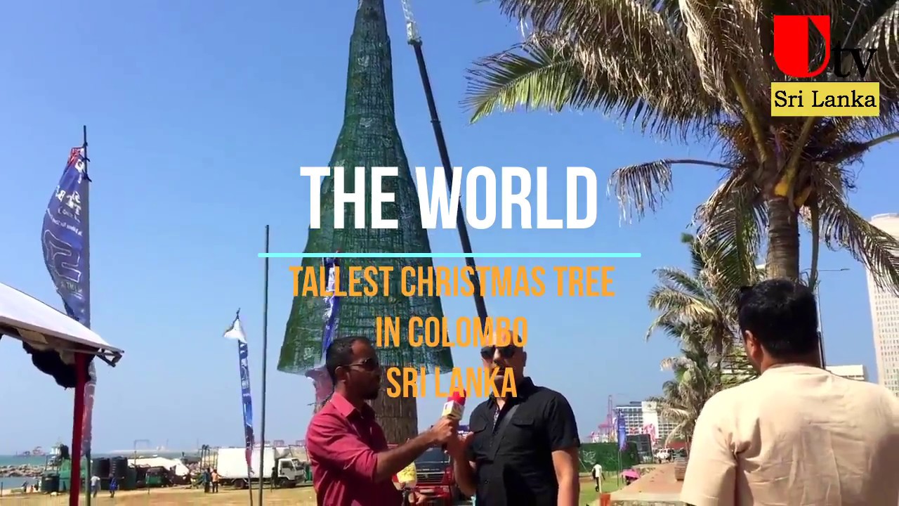 The World Tallest Christmas Tree In Colombo Sri Lanka YouTube