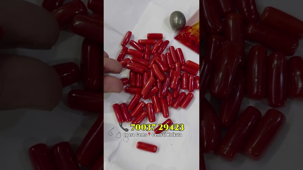 মাত্র ৫ টাকায় মুক্তা! প্রতিটি রত্ন-উপরত্নের ওপর ২০% ছাড় 😱 গ্রহরত্ন কিনুন হোলসেল দামে ১ পিস