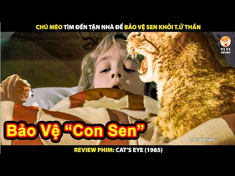 Video Chú Mèo Tìm Đến Tận Nhà Để Bảo Vệ Sen Khỏi Tử Thần |... - youtube