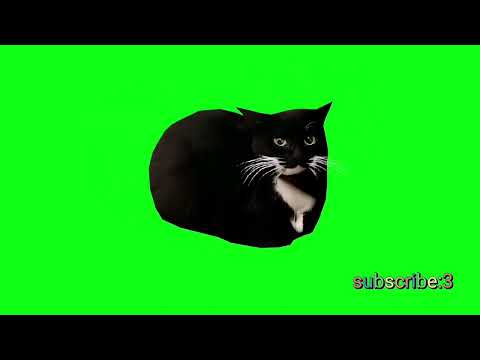 Maxwell The Cat Dancing Green Screen | 1080p 60 FPS #maxwell #cat #mem #2023