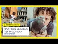 ¿Por qué le dicen Rey Palomo a Luisito Comunica?