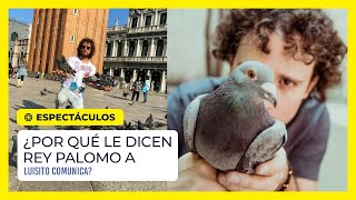 ¿Por qué le dicen Rey Palomo a Luisito Comunica?