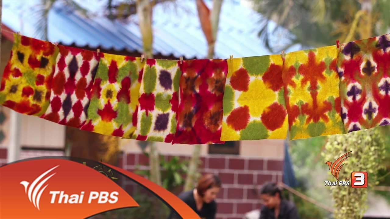 จุฑามาศ พาตะลุย : แปรรูปใบสับปะรดเป็นกระดาษ (15 ก.ย. 60)