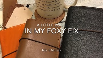 A Little Look In My Foxy Fix No 0 MICRO