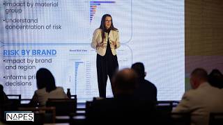 Risk Management in Procurement: Mitigating Supplier Risks & Ensuring Continuity | NAPES26 Case Study