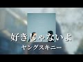 ヤングスキニー - 好きじゃないよ(좋아하지 않아) [원문/ 발음/ 한국어 번역]