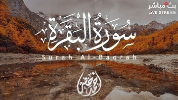تلاوة خاشعة 🥺 لسورة البقرة بصوت خاشع للقارئ احمد خضر - Live via OneStream Live #onestreamlive