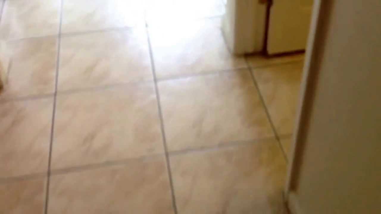 Open house 84 Westbrook Dr. Lodi Ca. We are here until 2 pm.