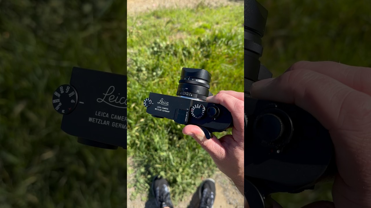 Loving my Leica M11-P. 